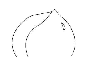 幼儿手绘桃子
