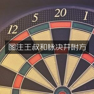 图注王叔和脉诀及附方 古典文集