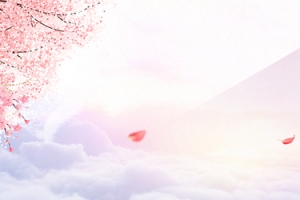 情人节浪漫梦幻漂浮花瓣海报背景