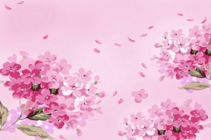 粉红色桃花彩绘高清合成