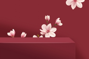 大气红色系口红促销banner