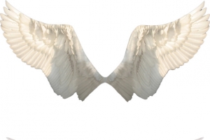 天使的翅膀透明主页