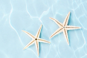蓝色海水海星壁纸