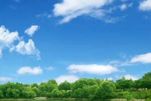 草坪首图