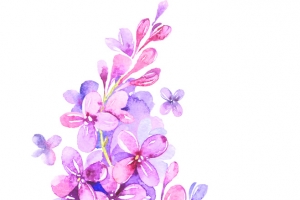 紫色花 碎花 花束