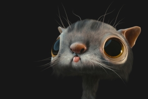 一只可爱的猫图片背景素材