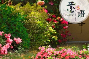 家纺banner