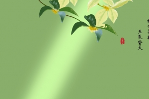蟾宫折桂,玉兔登天 桂花 8K高清壁纸图片 8000x4500