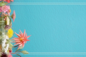 热饮简约蓝色banner
