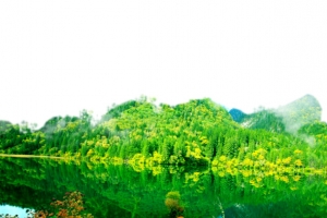 九寨沟湖边森林风景背景