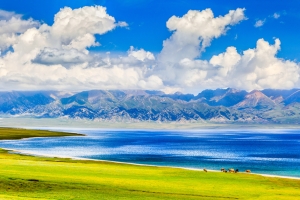 夏季的赛里木湖风景4K壁纸