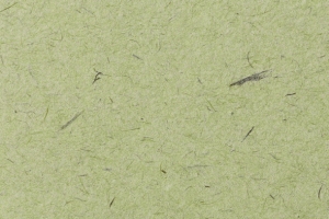 春意纸质质感浅草