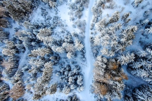 冬季森林 道路 鸟瞰图 雪地 4k壁纸 3840x2160