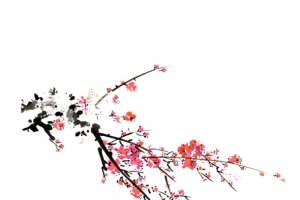 白色花朵手绘梅花素材