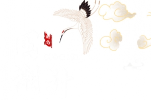 国潮计划重阳菊花