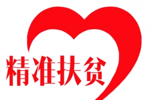 精准扶贫