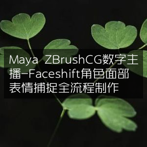 Maya & ZBrush CG数字主播，Faceshift角色面部表情捕捉全流程指南