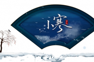 冬天小寒扇形元素树枝雪地二十四节气