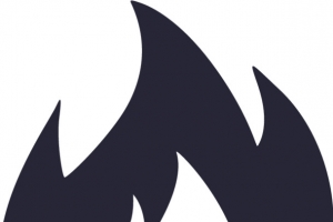 icon-火 16pxX16px-01