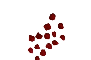 红色花瓣