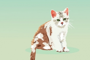 小猫 猫 矢量 艺术 4k壁纸 3840x2160