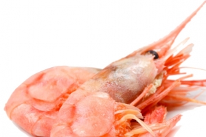 高档海鲜刺身牡丹虾