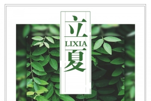 绿色二十四节气立夏海报