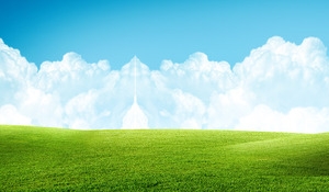 牛奶清新草原背景banner