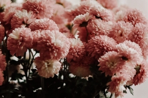 菊花 鲜花 花束 花瓶 房间 4k壁纸 3840x2160