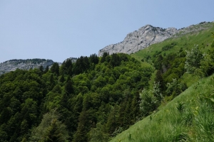 山 坡 草 景观 树木 4k壁纸 3840x2160