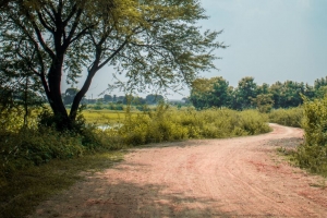 道路 树木 灌木 转弯 自然 4k壁纸 3840x2160