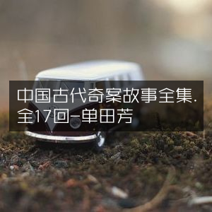 中国古代17回奇案故事大全 - 单田芳演播有声书