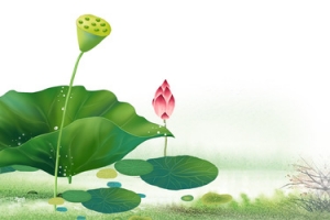柳树春分清新绿色banner
