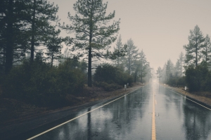 雨后柏油马路景色背景