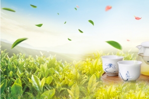 茶叶大气清新绿色banner