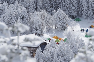 森林 帐篷 露营 雪 冬季 4k壁纸 3840x2160