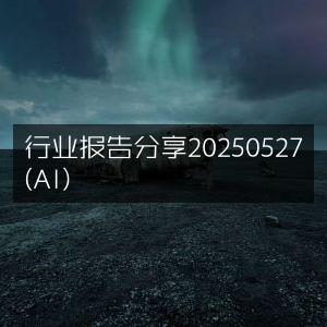20250527 AI行业报告精彩分享