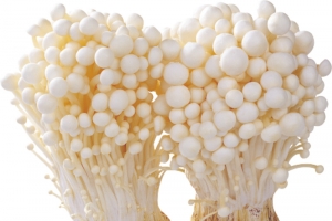 金针菇食材