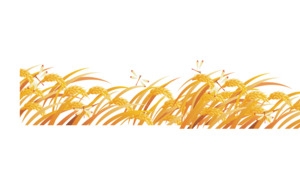 麦穗