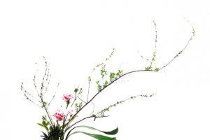 中式插花