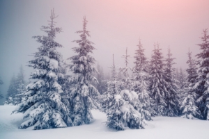 冬日极光美景雪地