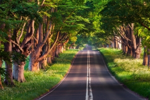 布兰德福德路 作者 TheWanderingSoul 4K风景壁纸