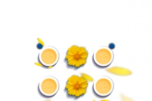 秋季菊花茶茶文化