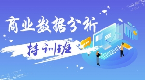 商业数据分析实战课程，视频特训班，深度解析与技能提升