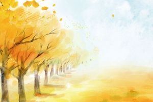 秋季新品小清新手绘banner
