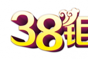 38三八距惠