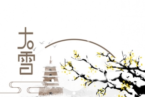 大雪树枝雪花湖面塔