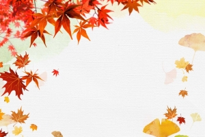 秋天枫叶上新海报