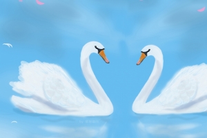 两只浪漫白天鹅 插画 4k壁纸