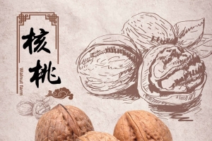 农家核桃海报设计